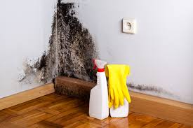 Best Environmental Consulting for Mold Prevention in Galena, OH